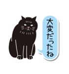 あいづち猫2 ―共感編―（個別スタンプ：19）