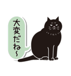 あいづち猫2 ―共感編―（個別スタンプ：21）