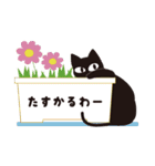 猫が一言（個別スタンプ：20）