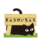 猫が一言（個別スタンプ：24）