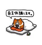 corgi2（個別スタンプ：2）