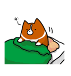 corgi2（個別スタンプ：19）