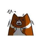 corgi2（個別スタンプ：32）