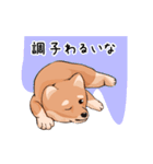 豆柴わんこ（個別スタンプ：7）