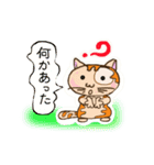 ど・ねこ（個別スタンプ：18）