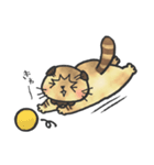 スコティッシュ猫つっこ（個別スタンプ：14）