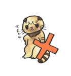 スコティッシュ猫つっこ（個別スタンプ：24）