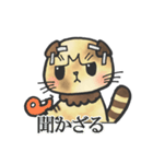 スコティッシュ猫つっこ（個別スタンプ：39）
