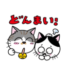 猫のくりんのHappyスタンプ（個別スタンプ：15）