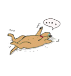 くまこと蘭の犬猫シスターズ（個別スタンプ：35）