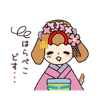 まいこいぬ（個別スタンプ：24）