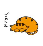 茶トラのねこちゃま。（個別スタンプ：33）