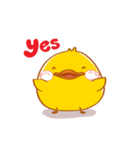 PEDPAO, The happiness duck 2（個別スタンプ：1）