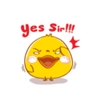 PEDPAO, The happiness duck 2（個別スタンプ：5）