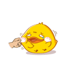 PEDPAO, The happiness duck 3（個別スタンプ：1）