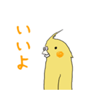 ハリネズミと伸びがちなオカメインコ（個別スタンプ：1）