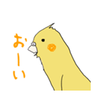 ハリネズミと伸びがちなオカメインコ（個別スタンプ：3）
