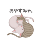 ねこ語（個別スタンプ：3）