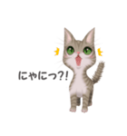 ねこ語（個別スタンプ：12）