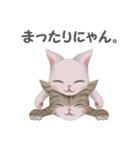 ねこ語（個別スタンプ：14）