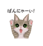 ねこ語（個別スタンプ：19）