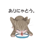 ねこ語（個別スタンプ：21）