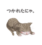 ねこ語（個別スタンプ：38）