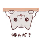 三ひきのにゃんこ！（個別スタンプ：13）