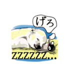 しあわせを呼ぶシロクマさんのスタンプ。（個別スタンプ：17）