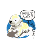 しあわせを呼ぶシロクマさんのスタンプ。（個別スタンプ：19）