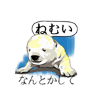 しあわせを呼ぶシロクマさんのスタンプ。（個別スタンプ：40）