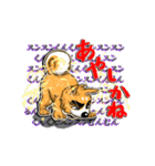 九州男犬 2nd（個別スタンプ：3）