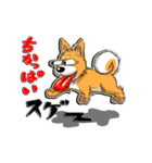 九州男犬 2nd（個別スタンプ：4）