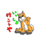 九州男犬 2nd（個別スタンプ：16）