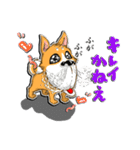 九州男犬 2nd（個別スタンプ：19）