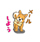 九州男犬 2nd（個別スタンプ：32）