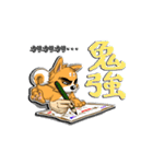 九州男犬（個別スタンプ：28）