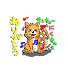 九州男犬（個別スタンプ：35）
