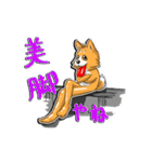 九州男犬（個別スタンプ：37）