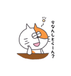 金沢弁で話すねこ（個別スタンプ：19）