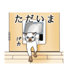 日常で使える、基本の猫スタンプ（個別スタンプ：5）