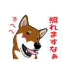 イケメン柴犬モモと愉快な仲間達（個別スタンプ：14）