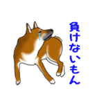 イケメン柴犬モモと愉快な仲間達（個別スタンプ：20）