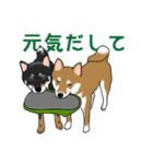 イケメン柴犬モモと愉快な仲間達（個別スタンプ：38）