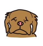 ぶちゃいぬ（個別スタンプ：36）