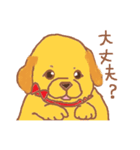 ゴールデンレトリバーの赤ちゃん（個別スタンプ：27）