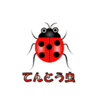 Fellow of funny insects（個別スタンプ：25）