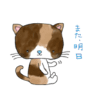 自由猫の一日（個別スタンプ：35）