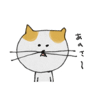 ねこのすまこ（個別スタンプ：1）