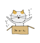 ねこのすまこ（個別スタンプ：27）